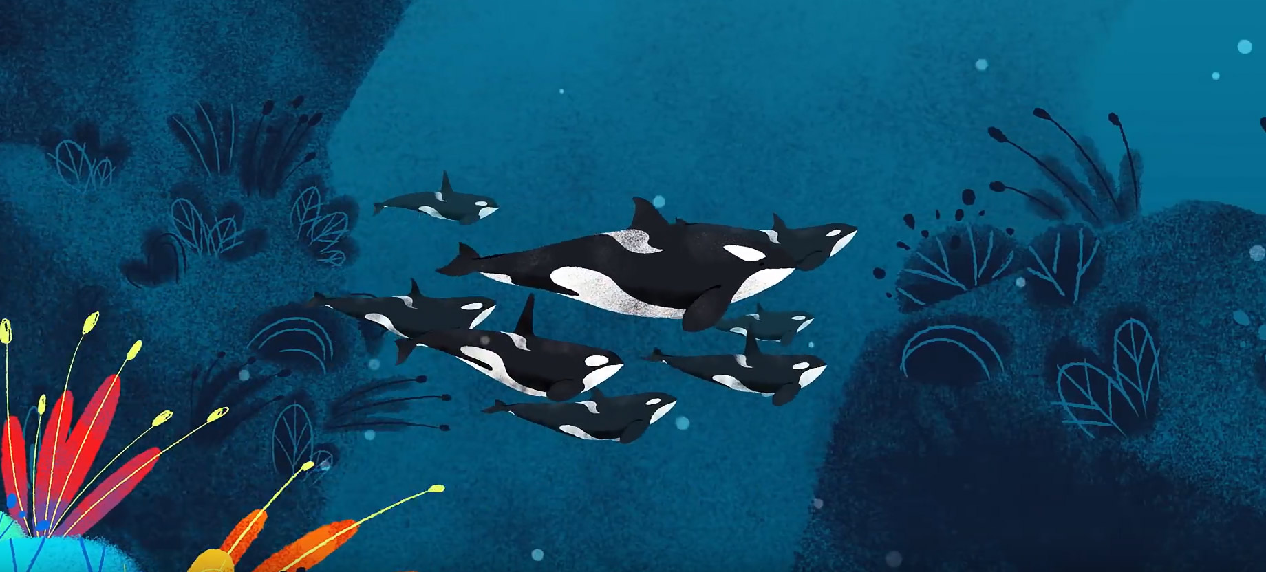 L&rsquo;actu des alumni // Ces Cohliens qui s&rsquo;ouvrent les portes du dessin animé documentaire